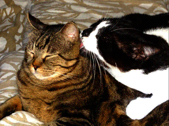 image002_02.gif