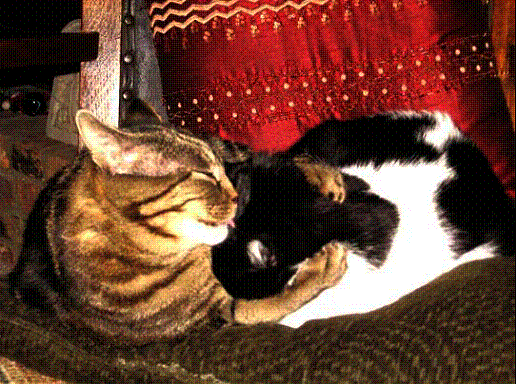 image012_02.gif