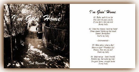 imgoinhome_virtualguitars_sleeve_sepia.jpg